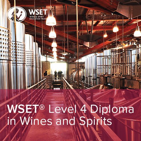Wset diploma shop